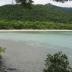 Cape Tribulation